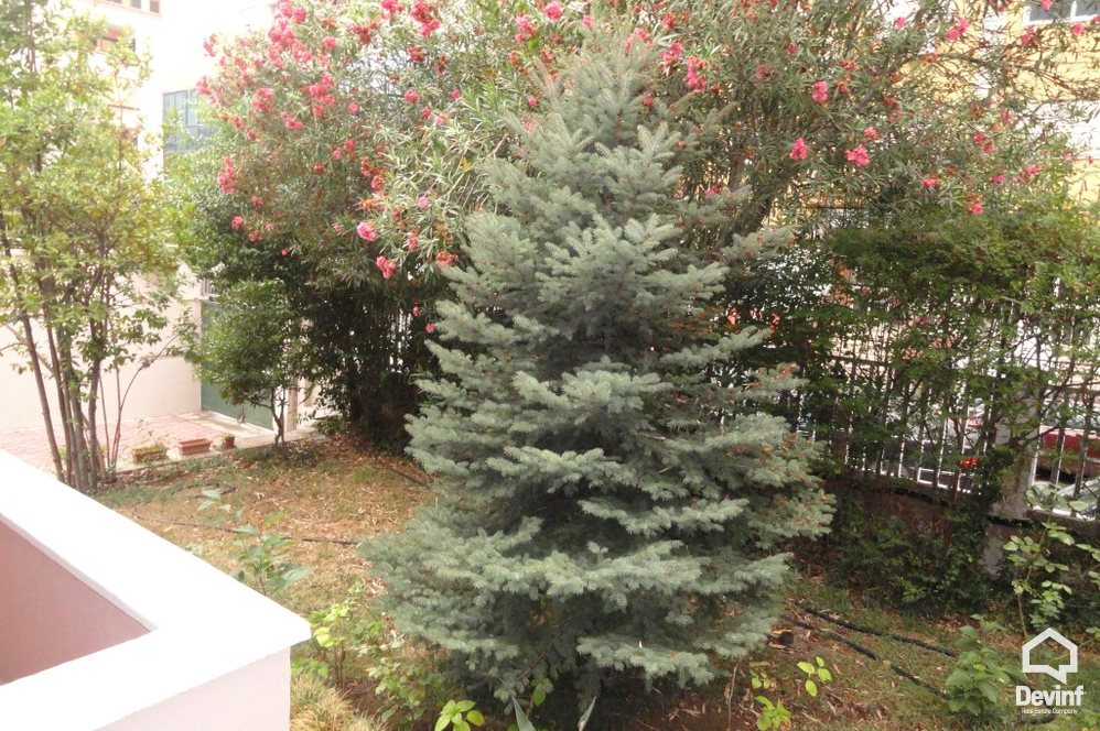 Tirane Qera Vile  Vile rezidenciale prane selise se Radio Televizionit Shqiptar zyre vile
