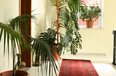 Tirane Qera Vile  Vile ne zonen rezidenciale te vilave prane Klubit Dinamo zyre qender biznesi