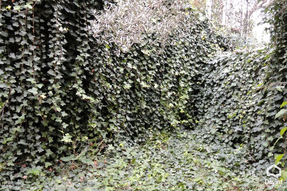 Tirane For Sale Villa 4+1+G Near the Botanical Garden 