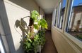 Tirane For Rent Apartment 2+1+A Apartment located in Str. Durresit Apartment Office