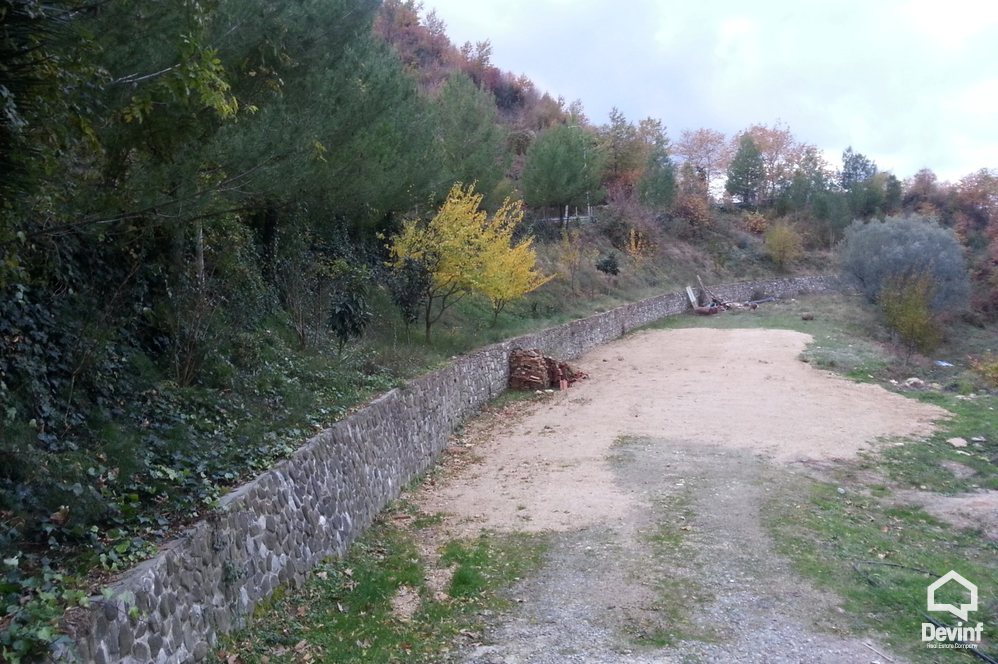 Tirane Shitje Toke  Petrele, Tirane toke per ndertim