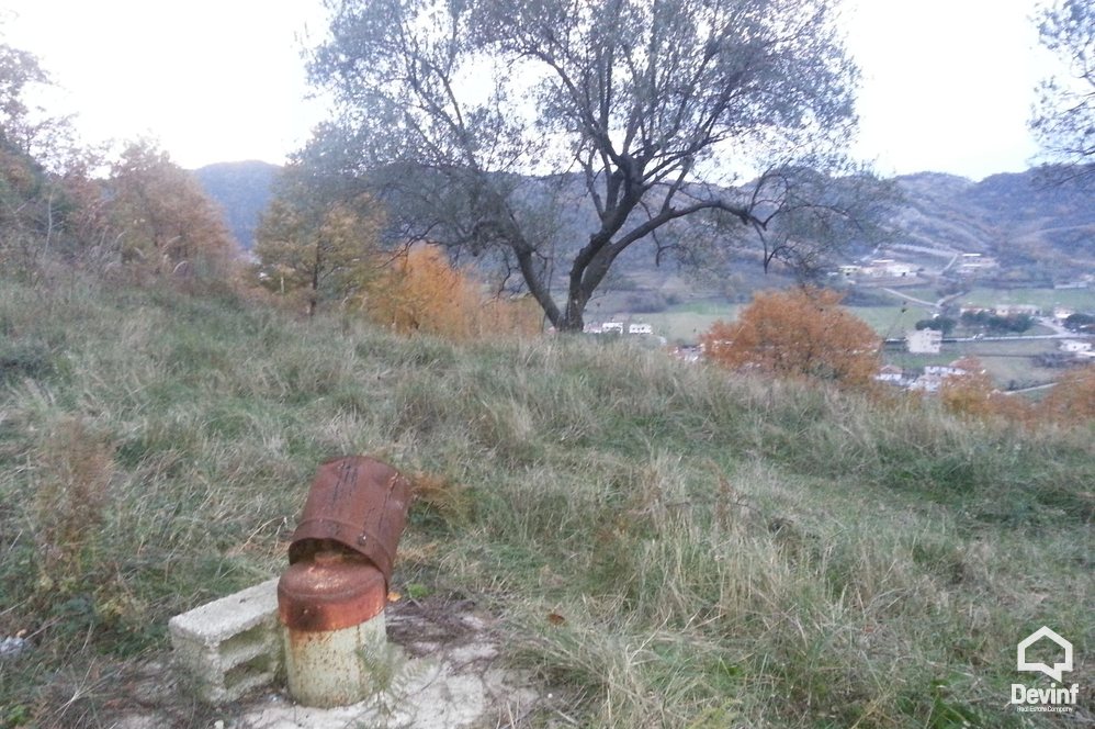 Tirane Shitje Toke  Petrele, Tirane toke per ndertim