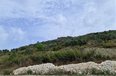 Kavaje For Sale Land  The land is positioned in Karpen, Kavaje Coast Land bregdet turistike