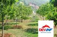 Pogradec For Sale Hotel Me shume se 4 dhoma Pogradec, Gurras 