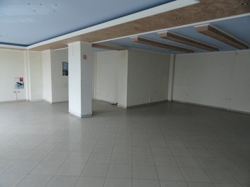 Zyre Shitje Prane Drejtorise te Policise