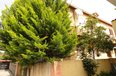 Tirane For Sale Houses Me shume se 4 dhoma Ali Visha Street, close to Student City. 