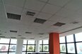 Tirane Qera Zyre  Zyra ne Rr. Bill Klinton zyre