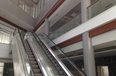 Tirane For Rent Multifunctional Building  Near to Casa Italia  