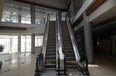 Tirane For Rent Multifunctional Building  Near to Casa Italia  