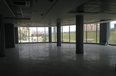 Tirane For Rent Multifunctional Building  Near to Casa Italia  