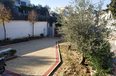 Tirane For Rent Houses 2+1+G House positioned near the  Lake of Tirana Villa