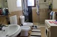 Tirane For Rent Houses 2+1+G House positioned near the  Lake of Tirana Villa