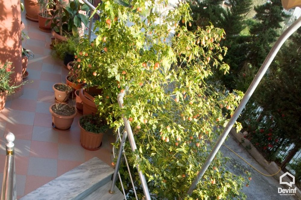 Durres Shitje Hotel  Hotel tek Shkembi i Kavajes apartament