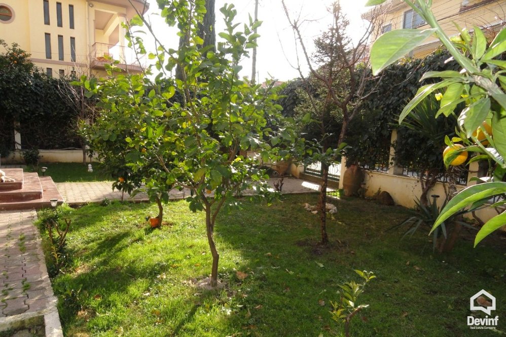 Tirane For Rent Villa  House located in Selita area 