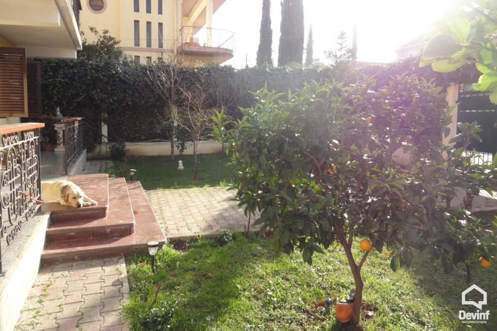 Tirane For Rent Villa  House located in Selita area 
