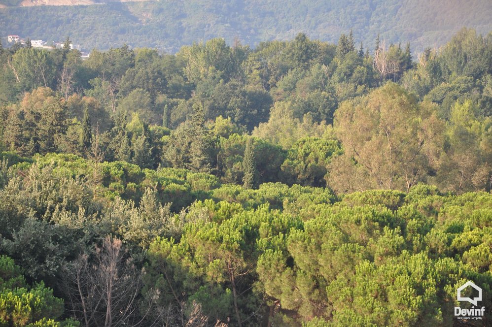 Tirane For Sale Apartment Me shume se 4 dhoma New building close to Elbasani Street Apartment