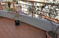 Tirane For Rent Apartment 3+1+G Apartment located close to Str. Myslym Shyri Apartment