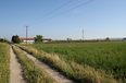 Kavaje For Sale Land  Vineyard near the town of Durres Agricultural Land