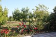 Kavaje For Sale Land  Vineyard near the town of Durres Agricultural Land