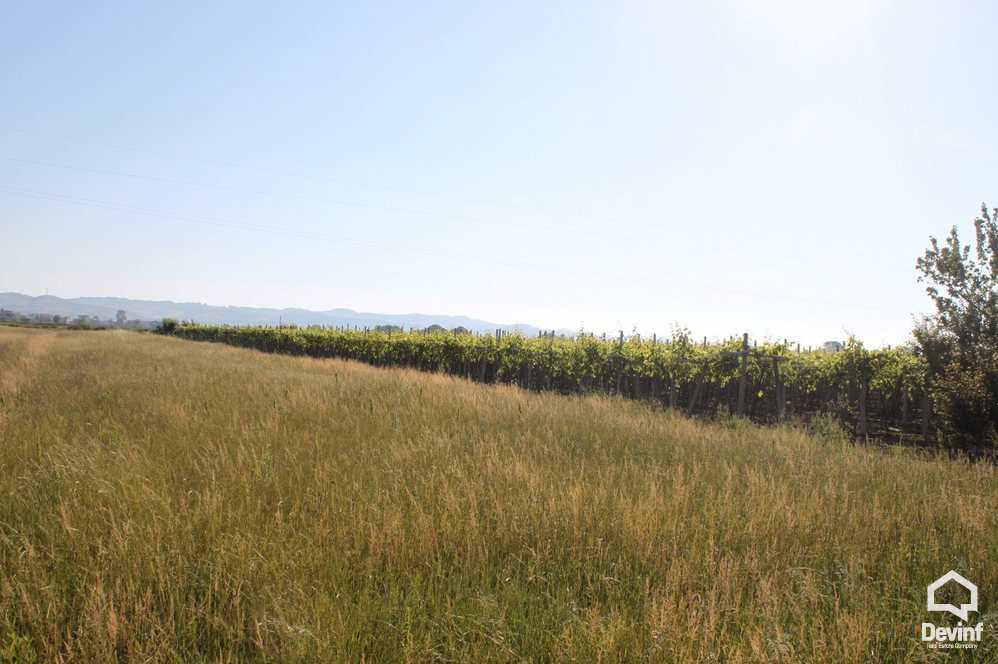 Kavaje For Sale Land  Vineyard near the town of Durres Agricultural Land