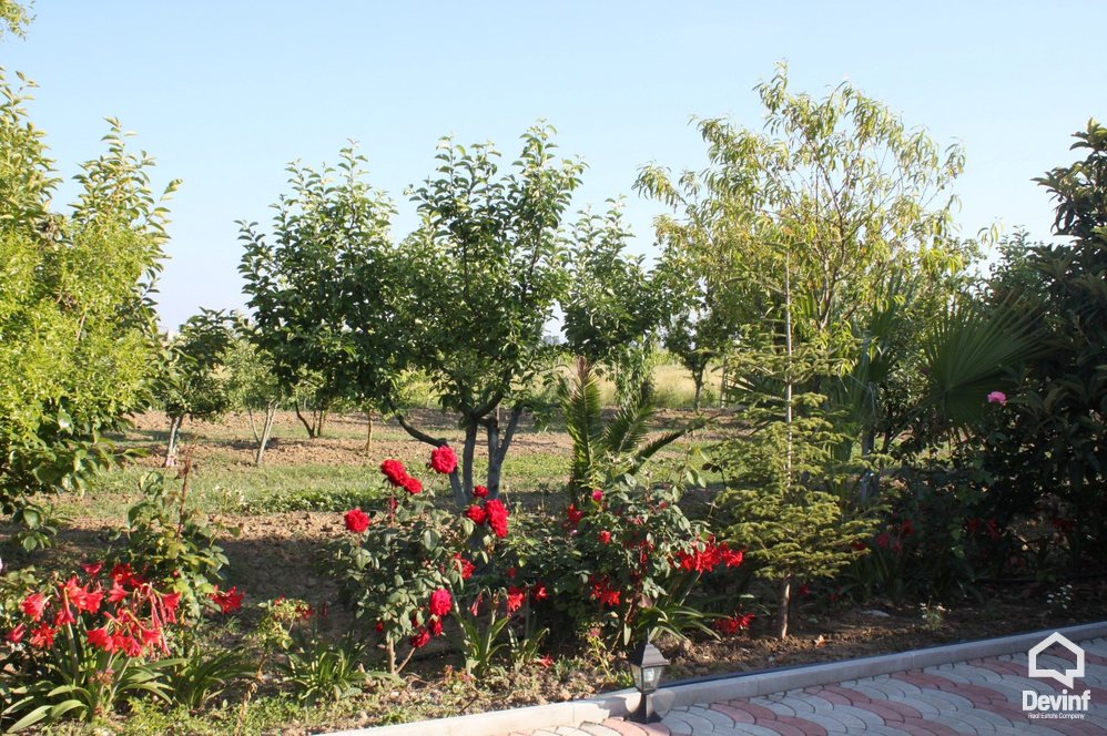 Kavaje For Sale Land  Vineyard near the town of Durres Agricultural Land