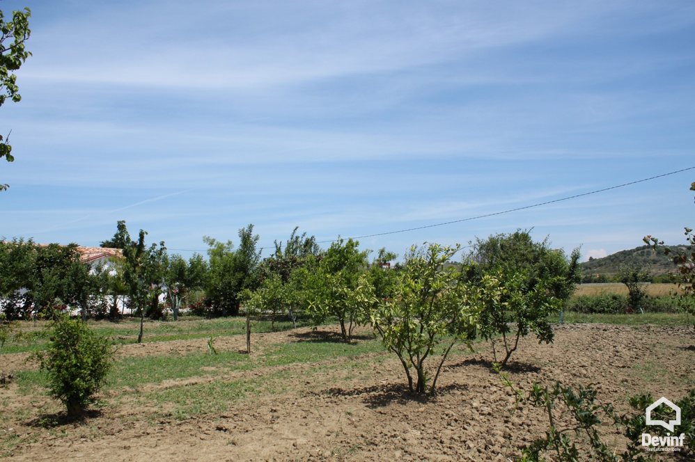 Kavaje For Sale Land  Vineyard near the town of Durres Agricultural Land