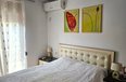 Tirane Qera Apartament 1+1 Apartament ne Rr. Myslym Shyri apartament