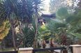 Durres For Sale Villa 3+1+G Villa in housing compound located in the area of Golem, Durres bregdet Residential Complex