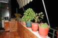 Tirane For Sale Apartment 2+1+A Gjergj Fishta Boulevard Apartment