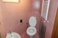 Tirane Qera Apartament 4+1+G Apartament dubleks prane Klubit Sportiv Dinamo apartament