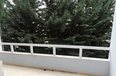 Tirane Qera Apartament 4+1+G Apartament dubleks prane Klubit Sportiv Dinamo apartament