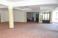 Tirane Qera Vile Me shume se 4 dhoma Vila ndodhet prane Kopeshtit Zoologjik zyre vile restorant