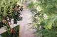 Tirane For Rent Villa  Villa complex in Selita area Villa Residential Complex