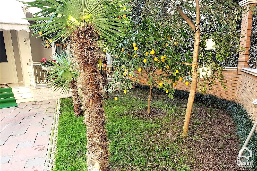 Tirane For Rent Villa  Villa complex in Selita area Villa Residential Complex