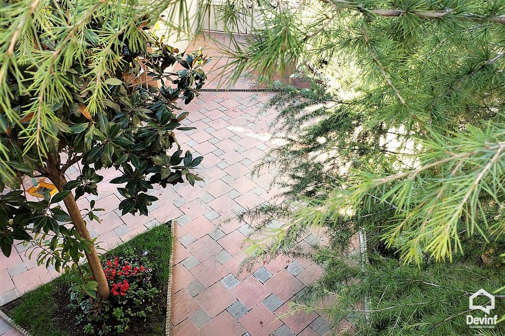 Tirane For Rent Villa  Villa complex in Selita area Villa Residential Complex