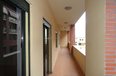 Tirane Qera Zyre 3+1+A Zyre ne qender te Tiranes apartament