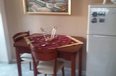 Tirane Qera Apartament 1+1+A Prane Shkolles se Baletit apartament