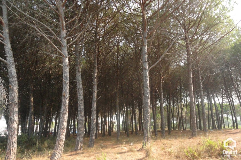 Durres For Sale Land  Lalez Bay, near Lura Residential Complex Building Plot bregdet