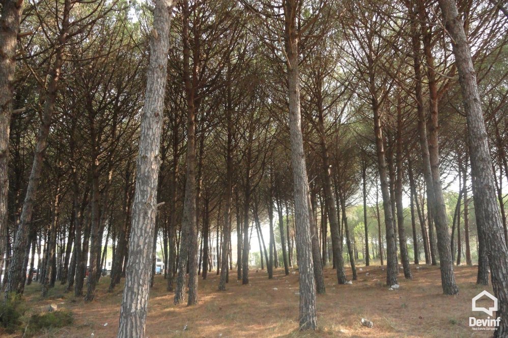 Durres For Sale Land  Lalez Bay, near Lura Residential Complex Building Plot bregdet