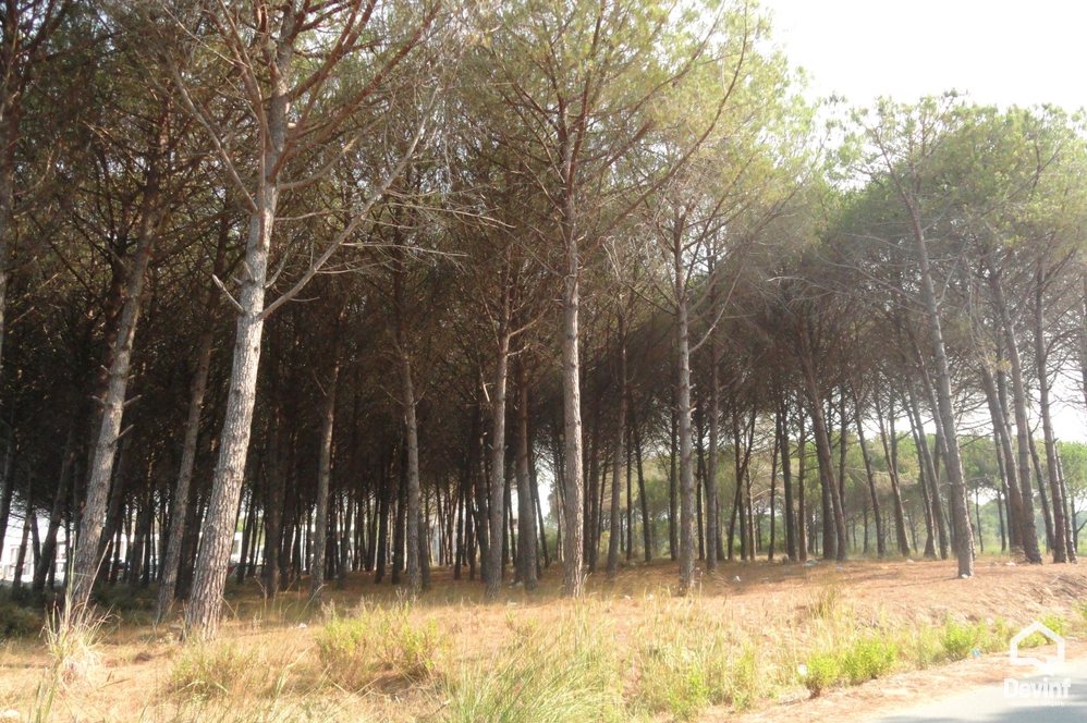 Durres For Sale Land  Lalez Bay, near Lura Residential Complex Building Plot bregdet