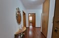 Tirane For Rent Apartment 2+1 Medar Shtylla street Apartment