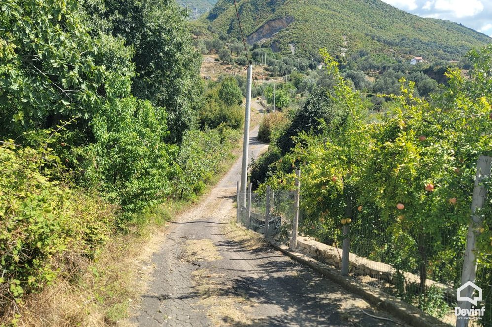 Tirane For Sale Villa  One floor house in Tufina village, Tirana Villa restorant agroturizem