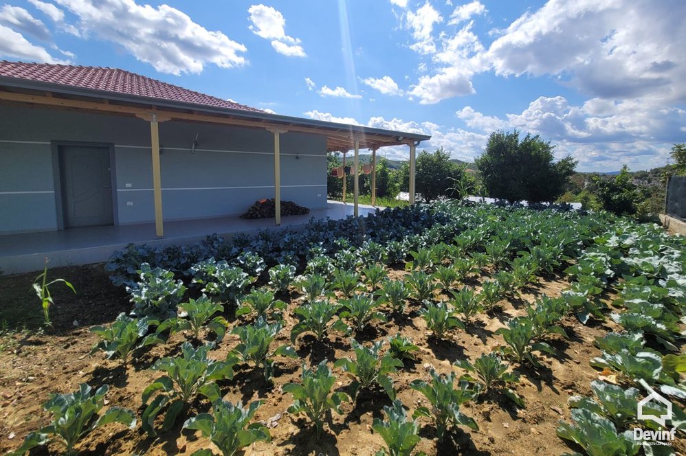 Tirane For Sale Villa  One floor house in Tufina village, Tirana Villa restorant agroturizem