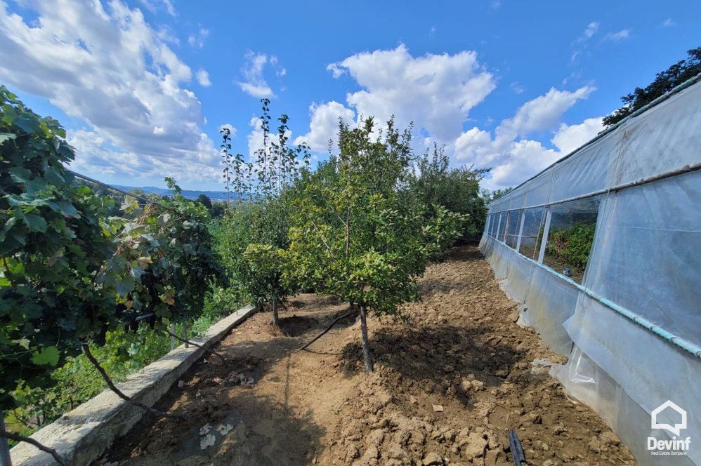Tirane For Sale Villa  One floor house in Tufina village, Tirana Villa restorant agroturizem