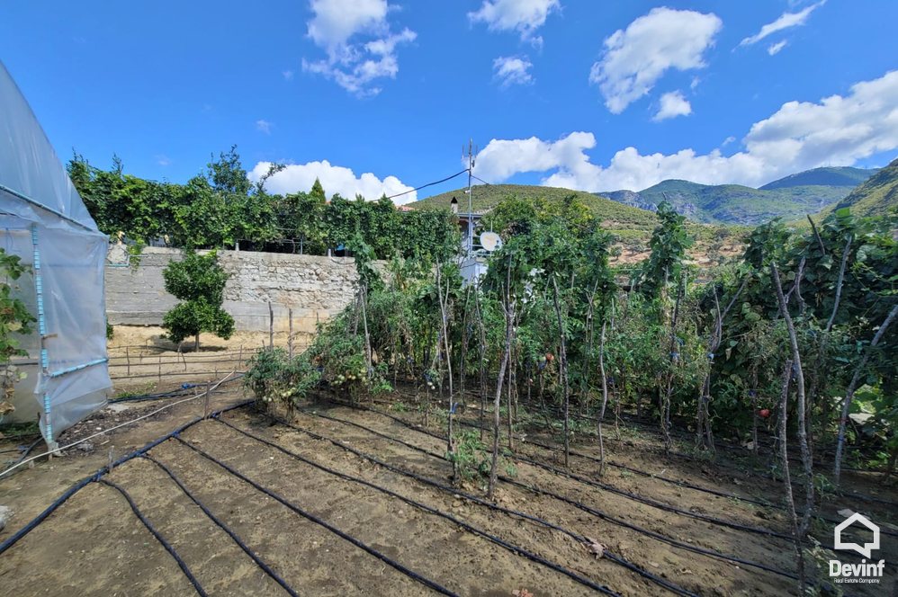 Tirane For Sale Villa  One floor house in Tufina village, Tirana Villa restorant agroturizem