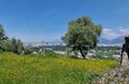 Tirane For Sale Land  Sauk Building Plot Villa Residence Truall