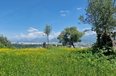 Tirane For Sale Land  Sauk Building Plot Villa Residence Truall