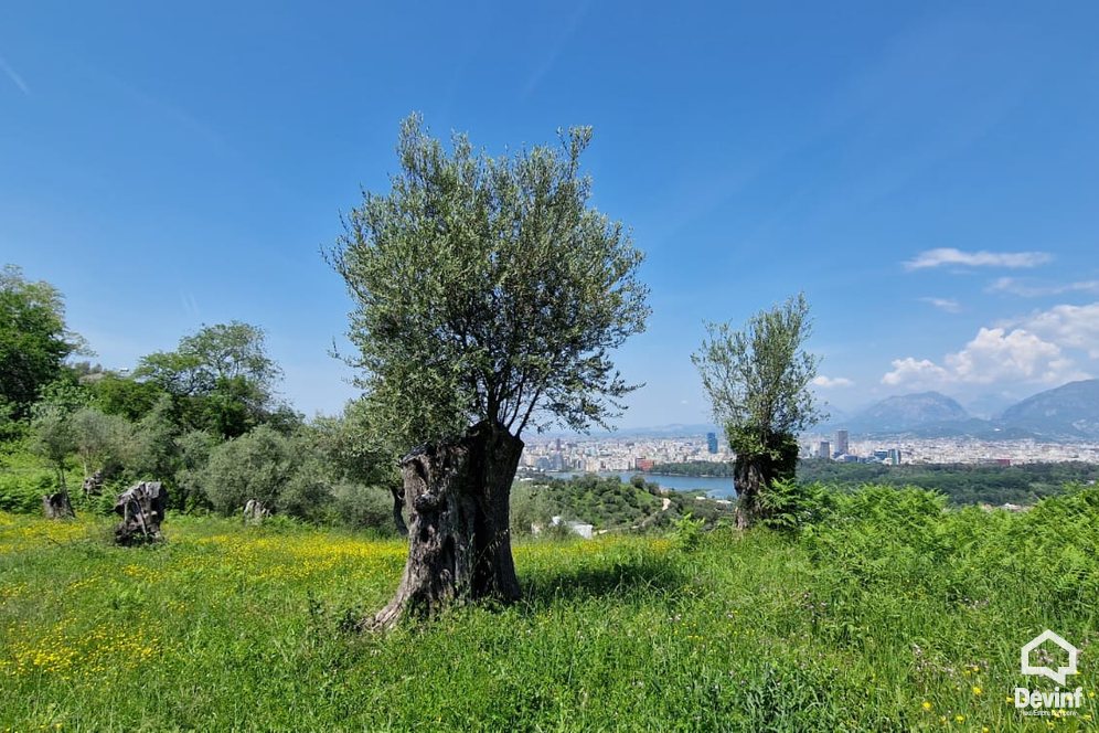 Tirane For Sale Land  Sauk Building Plot Villa Residence Truall