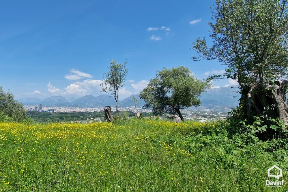 Tirane For Sale Land  Sauk Building Plot Villa Residence Truall