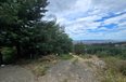 Tirane For Sale Land  Lanabregas, Tirana Building Plot Agricultural Land